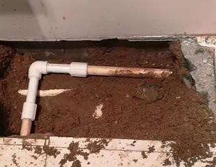 临夏测漏水哪家好