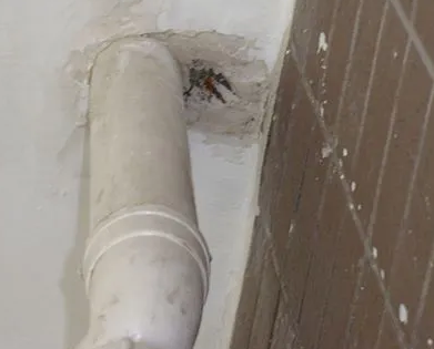 临夏漏水检测哪家好